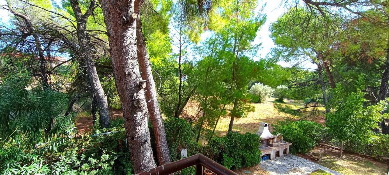 High Aesthetics Maisonette In The Wood By The Sea Metamorfosi  Ngoại thất bức ảnh