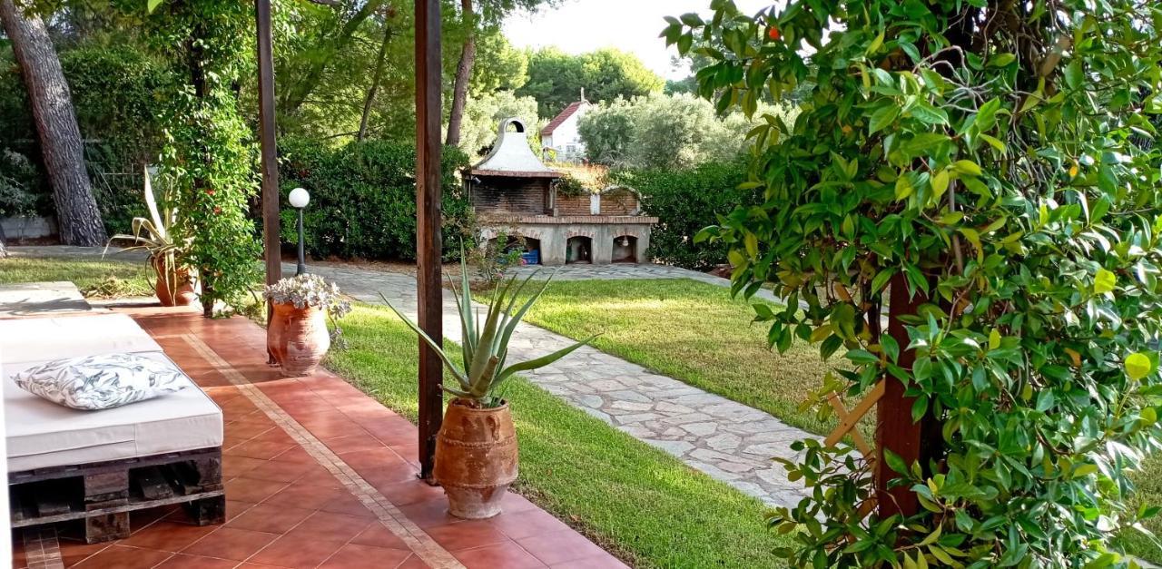 High Aesthetics Maisonette In The Wood By The Sea Metamorfosi  Ngoại thất bức ảnh